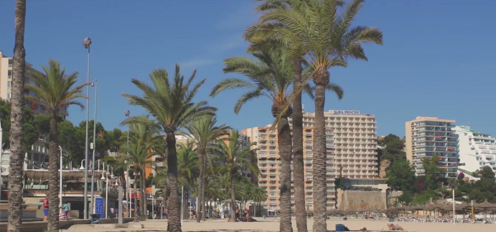 Palm trees along the beach in Magaluf, Majorca, hotels behind, from the HTID In The Sun 2016 film